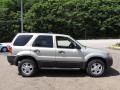 2003 Gold Ash Metallic Ford Escape XLT V6 4WD  photo #6