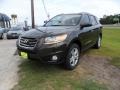 2011 Espresso Brown Hyundai Santa Fe Limited  photo #7