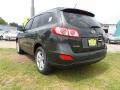 2011 Black Forest Green Hyundai Santa Fe Limited  photo #5