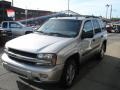 Silverstone Metallic - TrailBlazer LS 4x4 Photo No. 4