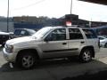 Silverstone Metallic - TrailBlazer LS 4x4 Photo No. 5