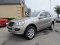 Pewter Metallic - ML 350 4Matic Photo No. 3