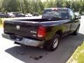 Brilliant Black Crystal Pearl - Ram 1500 ST Regular Cab 4x4 Photo No. 6