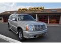 Quicksilver - Escalade AWD Photo No. 2