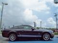 2009 Alloy Metallic Ford Mustang Shelby GT500 Coupe  photo #6