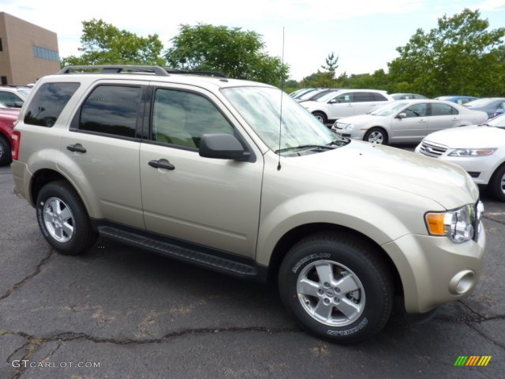 Gold Leaf Metallic 2012 Ford Escape XLT V6 4WD Exterior Photo #51792779