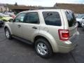 Gold Leaf Metallic 2012 Ford Escape XLT V6 4WD Exterior