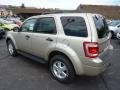  2012 Escape XLT V6 4WD Gold Leaf Metallic