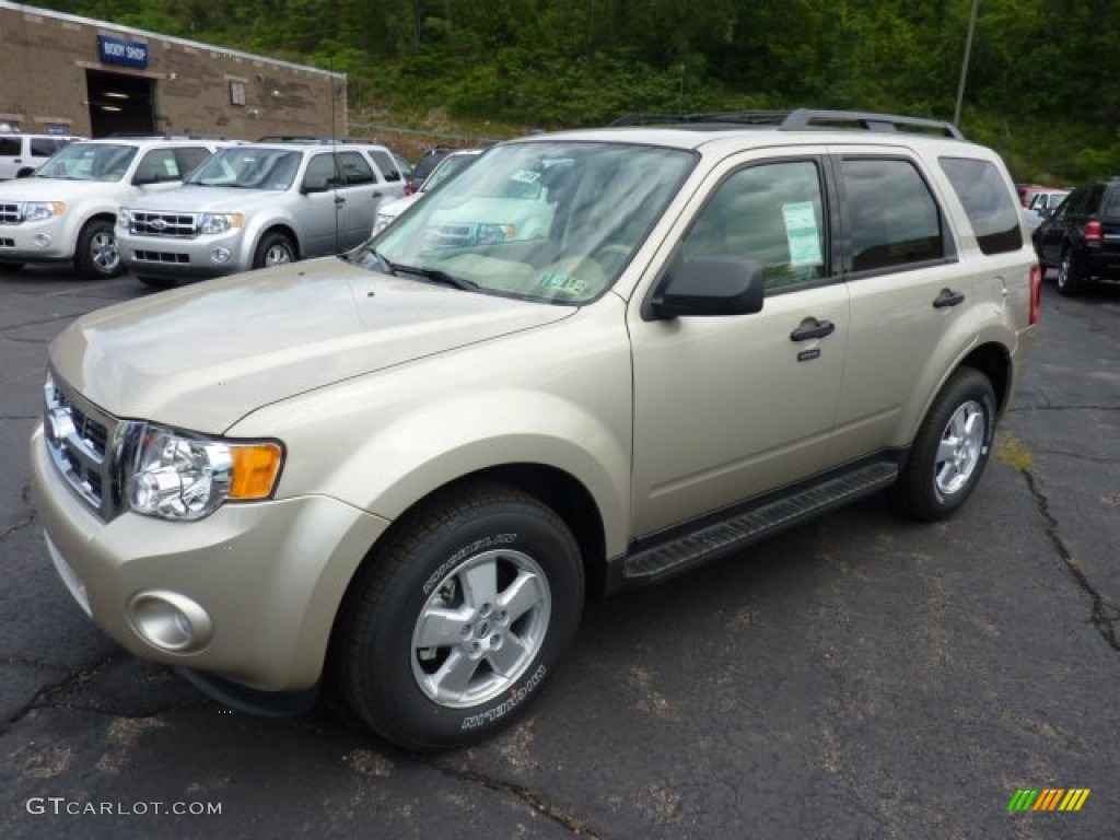 Gold Leaf Metallic 2012 Ford Escape XLT V6 4WD Exterior Photo #51792839