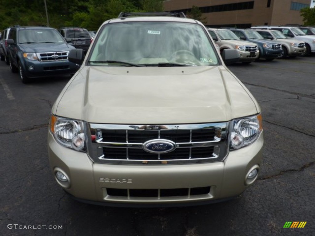 Gold Leaf Metallic 2012 Ford Escape XLT V6 4WD Exterior Photo #51792858