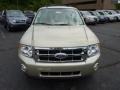 Gold Leaf Metallic 2012 Ford Escape XLT V6 4WD Exterior