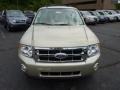  2012 Escape XLT V6 4WD Gold Leaf Metallic