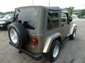 Light Khaki Metallic - Wrangler Sahara 4x4 Photo No. 4
