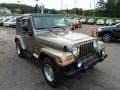 Light Khaki Metallic - Wrangler Sahara 4x4 Photo No. 6