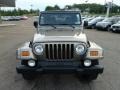 Light Khaki Metallic - Wrangler Sahara 4x4 Photo No. 7