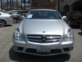 Iridium Silver Metallic - CLS 550 Photo No. 6