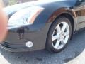 Onyx Black - Maxima 3.5 SE Photo No. 16