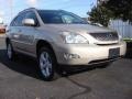 Savannah Beige Metallic - RX 330 AWD Photo No. 1