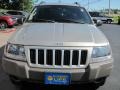 Light Pewter Metallic - Grand Cherokee Laredo 4x4 Photo No. 20