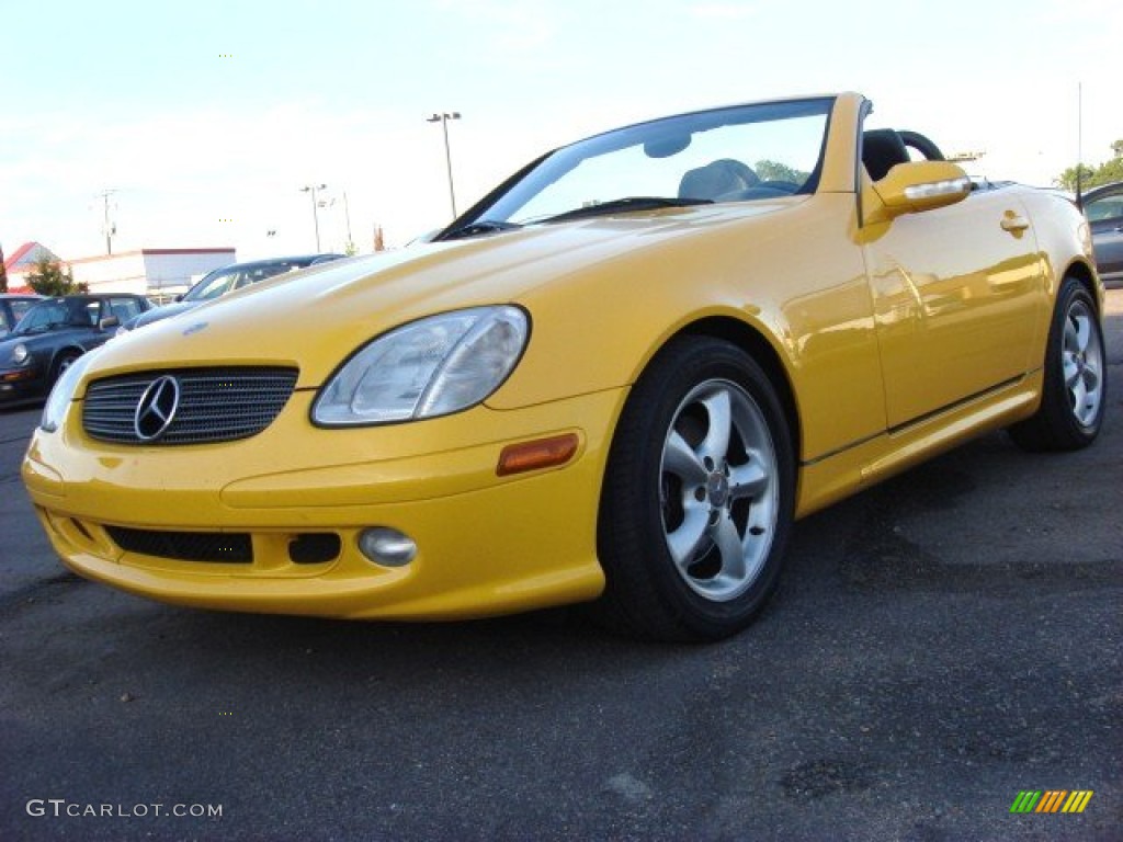 2003 Sunburst Yellow Mercedes-Benz SLK 320 Roadster #51776758 Photo ...
