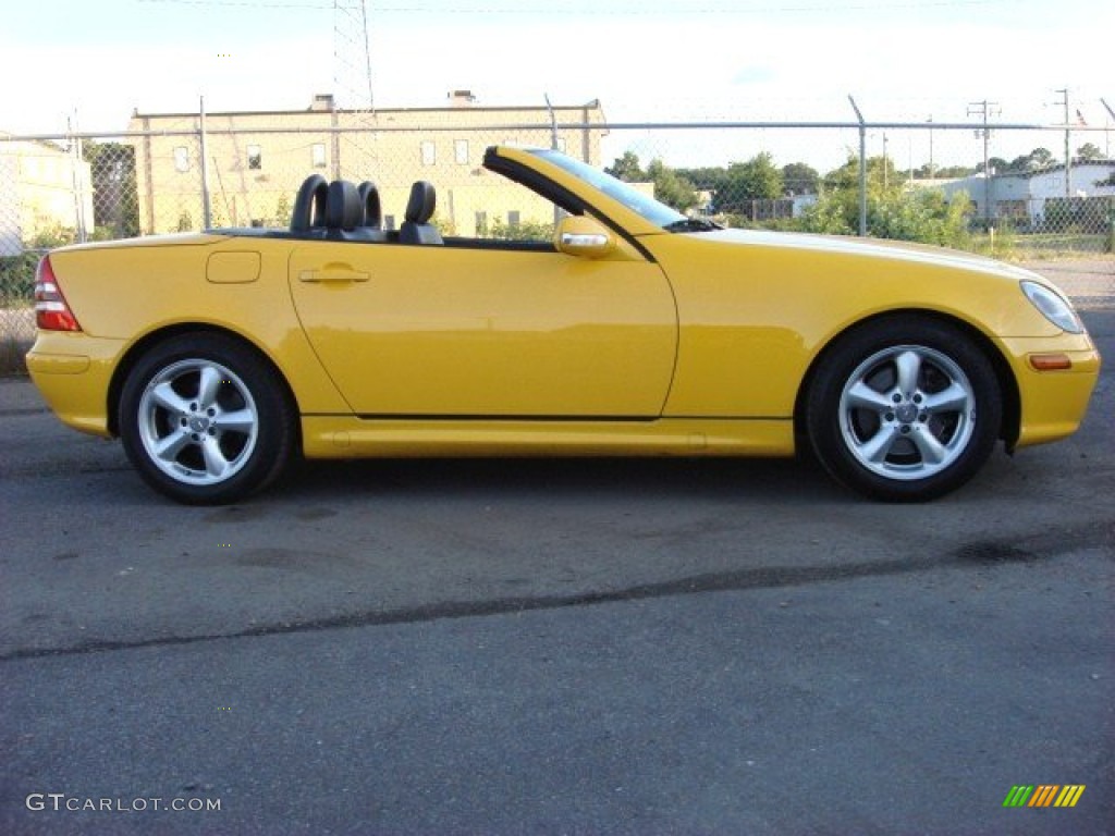 Sunburst Yellow 2003 Mercedes-Benz SLK 320 Roadster Exterior Photo #51806396
