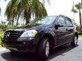 Black - ML 350 4Matic Photo No. 2