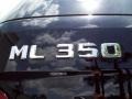 Black - ML 350 4Matic Photo No. 9