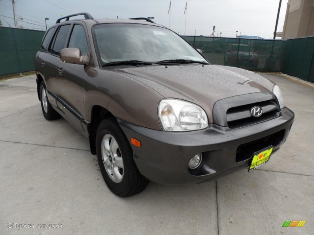 2005 Santa Fe GLS - Mocha Frost Beige / Beige photo #1