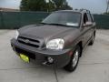 2005 Mocha Frost Beige Hyundai Santa Fe GLS  photo #7