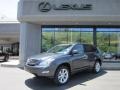 Smokey Granite - RX 350 AWD Photo No. 1