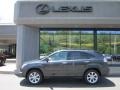 Smokey Granite - RX 350 AWD Photo No. 2