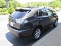 Smokey Granite - RX 350 AWD Photo No. 5