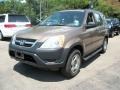 Mojave Mist Metallic - CR-V LX 4WD Photo No. 4