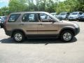 Mojave Mist Metallic - CR-V LX 4WD Photo No. 7