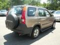 Mojave Mist Metallic - CR-V LX 4WD Photo No. 8