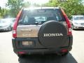Mojave Mist Metallic - CR-V LX 4WD Photo No. 9