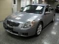 2008 Precision Gray Metallic Nissan Maxima 3.5 SE  photo #3