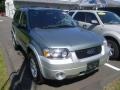 Titanium Green Metallic 2006 Ford Escape Hybrid 4WD