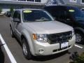 Light Sage Metallic - Escape XLT V6 4WD Photo No. 1