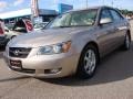 Golden Beige - Sonata LX V6 Photo No. 1