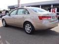 Golden Beige - Sonata LX V6 Photo No. 4