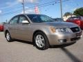 Golden Beige - Sonata LX V6 Photo No. 7