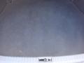 Golden Beige - Sonata LX V6 Photo No. 21