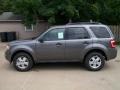 2012 Sterling Gray Metallic Ford Escape XLT  photo #8