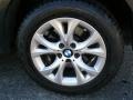 Platinum Bronze Metallic - X3 xDrive30i Photo No. 14