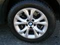 2009 Platinum Bronze Metallic BMW X3 xDrive30i  photo #14