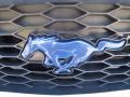 2008 Vista Blue Metallic Ford Mustang GT Premium Coupe  photo #19