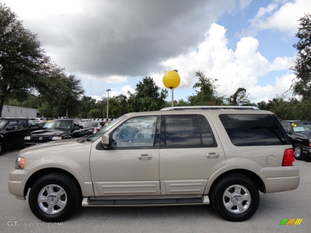 Pueblo Gold Metallic 2006 Ford Expedition Limited Exterior Photo #51834433