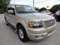 Pueblo Gold Metallic 2006 Ford Expedition Limited Exterior