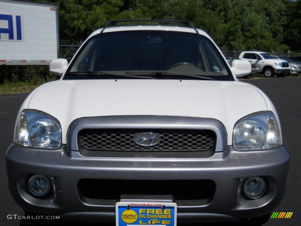 2004 Santa Fe GLS - Nordic White / Beige photo #17